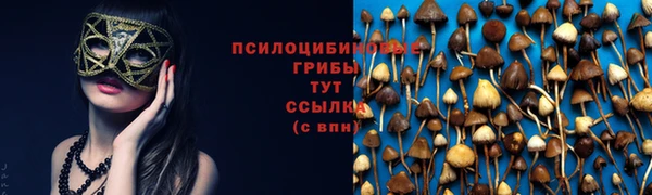 эйфоретик Алексеевка