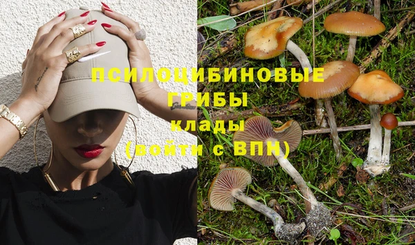 эйфоретик Алексеевка