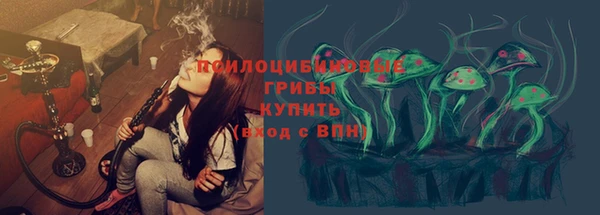 герыч Алексин