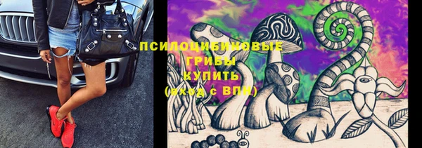 герыч Алзамай
